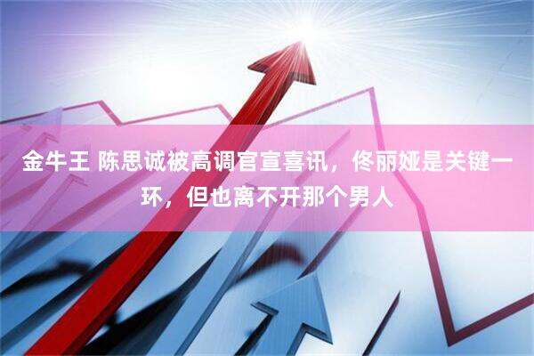 金牛王 陈思诚被高调官宣喜讯，佟丽娅是关键一环，但也离不开那个男人