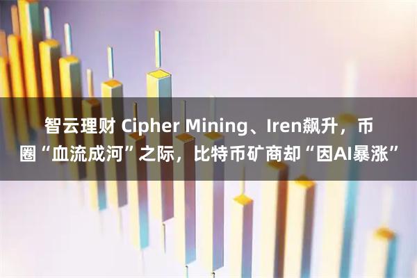 智云理财 Cipher Mining、Iren飙升，币圈“血流成河”之际，比特币矿商却“因AI暴涨”