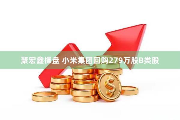 聚宏鑫操盘 小米集团回购279万股B类股